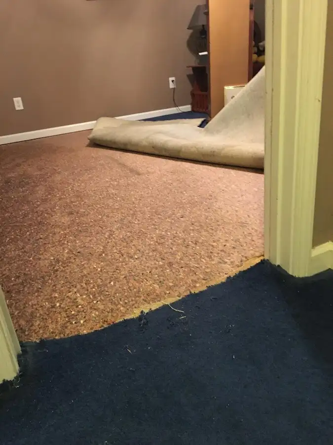 Carpet pad removal revealing water damage during Water Mitigation Services in Findlay