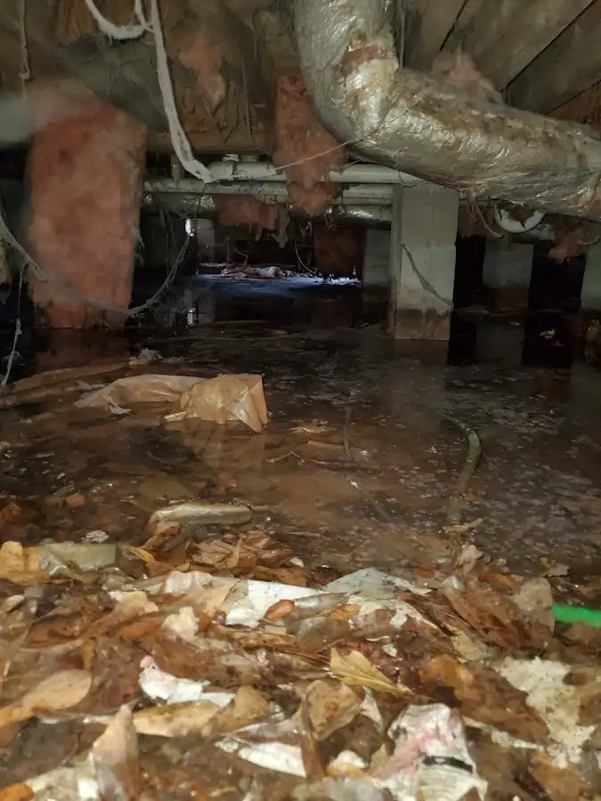 Crawl space flood assessment for Commercial Water Damage Restoration in Findlay