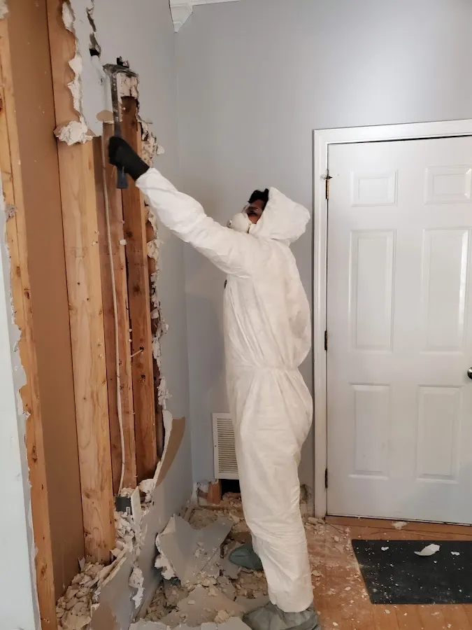 Commercial Water Damage Restoration in Findlay, PA